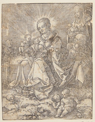 A Madonna egy füves parton alkotó: Hans Springinklee