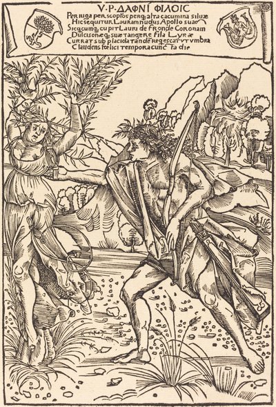 Apollo és Daphne alkotó: Hans Süss von Kulmbach