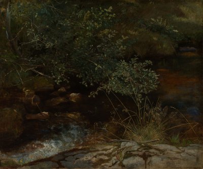 Patakpart bokrokkal és füvekkel alkotó: Hans Thoma