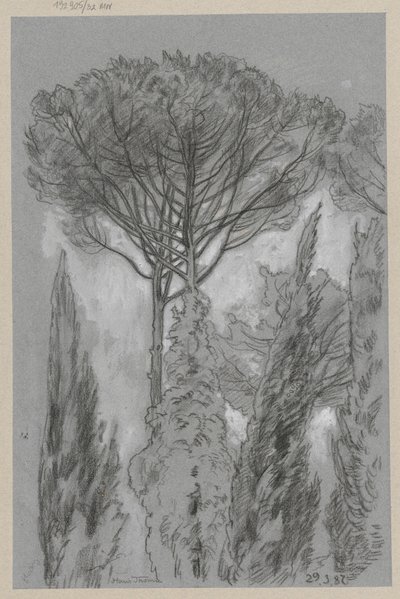 Fák Firenzében alkotó: Hans Thoma