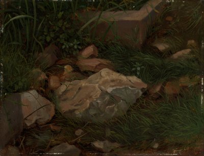 Kövek a fűben alkotó: Hans Thoma