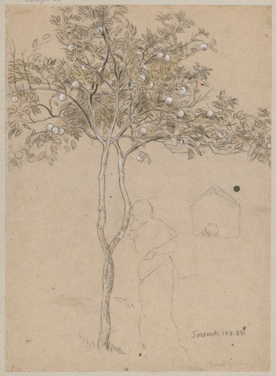Narancsfa-tanulmány Sorrento környékéről. Női alak körvonala alkotó: Hans Thoma