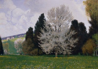 Tavasz a bécsi erdőben alkotó: Hans Wilt