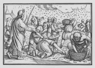 Az izraeliták zúgolódnak, hogy akarnak kenyeret, 2. Exodus, 4 alkotó: Hans after Holbein the Younger