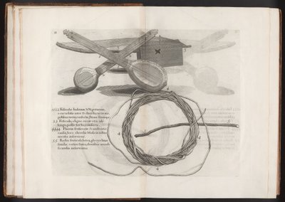 Illusztráció az Utazásból a Barbadosi Madera szigetére...2. kötet, 1815 alkotó: Hans after Sloane
