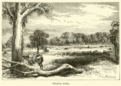 Gibraltári sziklák (metszet) alkotó: Harden Sidney (after) Melville