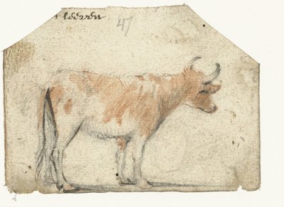 Tehén, oldalról alkotó: Harmen ter Borch