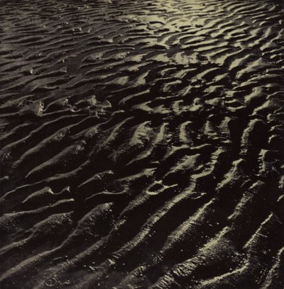 a bordás tengeri homok, Coleridge (f/w fotó) alkotó: Harold Burdekin