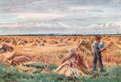 A manitobai búzamezők mentén alkotó: Harold Copping