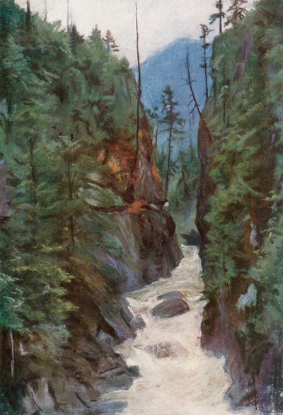 Capilano kanyon, Észak-Vancouver közelében alkotó: Harold Copping
