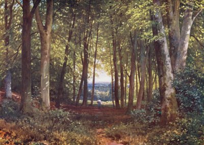 Deer-Leap Wood, Wotton (színes litográfia) alkotó: Harold Sutton Palmer