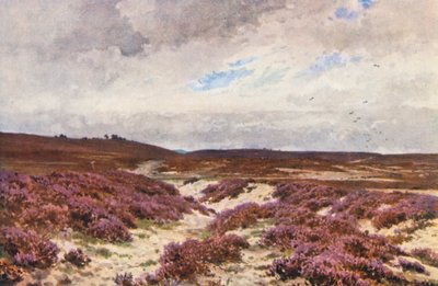 Frensham Common (színes litográfia) alkotó: Harold Sutton Palmer