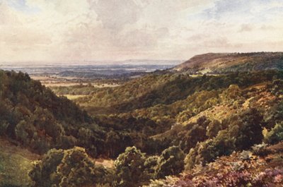 A Peaslake feletti hegyekből, Gomshall közelében (színes litográfia) alkotó: Harold Sutton Palmer