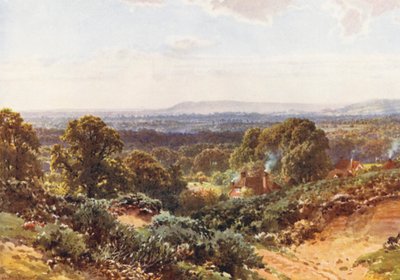 Homokdombok, Blackdown felé nézve (színes litográfia) alkotó: Harold Sutton Palmer
