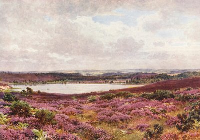 The Great Pond, Frensham (színes litográfia) alkotó: Harold Sutton Palmer