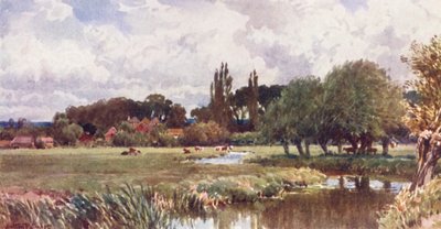 The Meads, Farnham (színes litográfia) alkotó: Harold Sutton Palmer