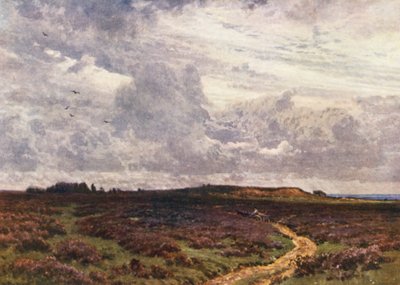 The Sandy Road, Milford Heath (színes litográfia) alkotó: Harold Sutton Palmer