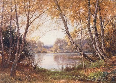The Verge of the Pond, Royal Common (színes litográfia) alkotó: Harold Sutton Palmer