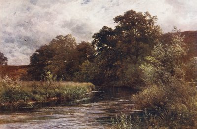 A Wey a Hankley Commonnál, Tilford közelében (színes litográfia) alkotó: Harold Sutton Palmer