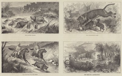 India és a walesi herceg alkotó: Harrington Bird