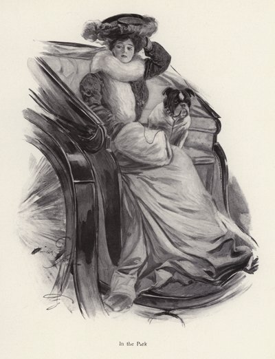 Nő hintón ül a kutyájával (litho) alkotó: Harrison Fisher