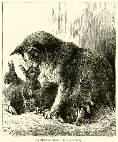 Egy rendkívüli család alkotó: Harrison William Weir