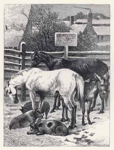 Állatok a fontban (metszet) alkotó: Harrison William Weir