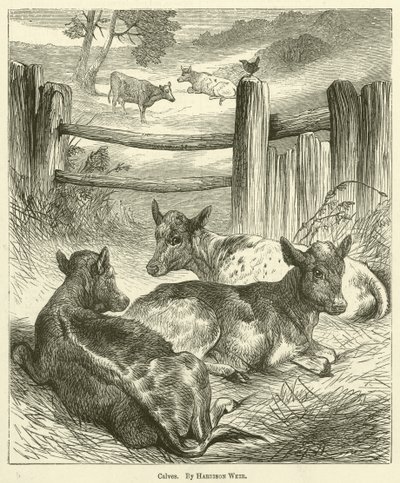 Borjak alkotó: Harrison William Weir