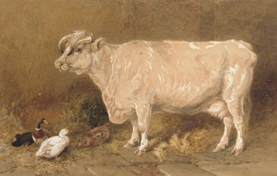 Tehén kacsákkal egy istállóban alkotó: Harrison William Weir