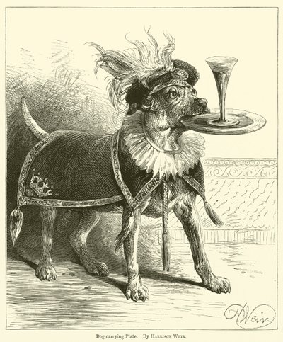 Kutya szállító lemez alkotó: Harrison William Weir