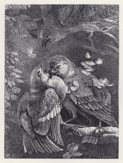 Harc egy veréb és egy veréb között (metszet) alkotó: Harrison William Weir