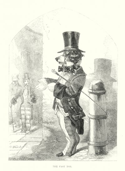 Vicces kutyák: A gyors kutya (metszet) alkotó: Harrison William Weir