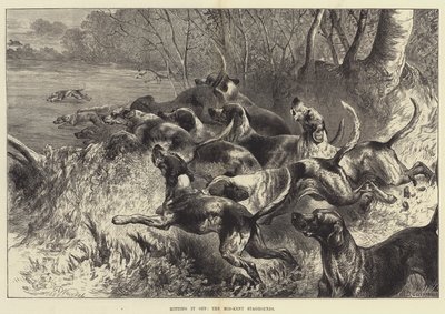 A Mid-Kent Staghounds, a Mid-Kent Staghounds alkotó: Harrison William Weir