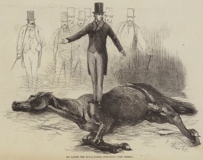 Mr Rarey, a Lószelídítő, aki a Cruiseren dolgozik alkotó: Harrison William Weir