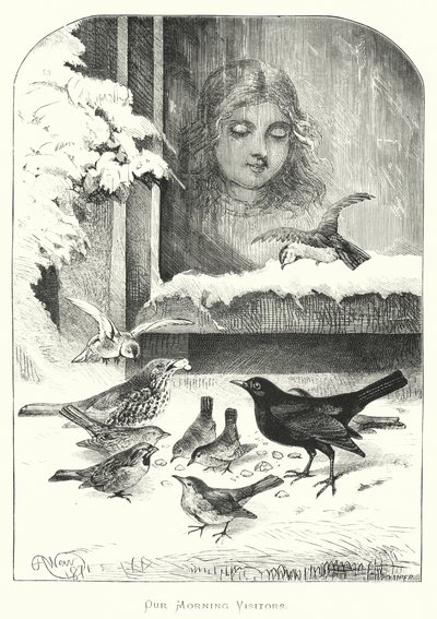 Reggeli látogatóink alkotó: Harrison William Weir