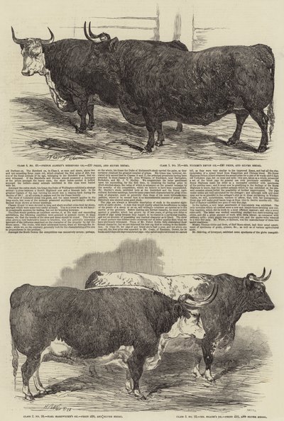A Smithfield Club éves kiállítása alkotó: Harrison William Weir