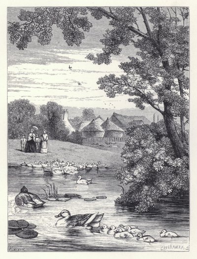 A kacsató (metszet) alkotó: Harrison William Weir