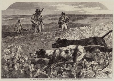 Szeptember elseje, Partridge-lövés (metszet) alkotó: Harrison William Weir
