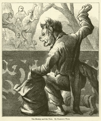A majom és a dió alkotó: Harrison William Weir