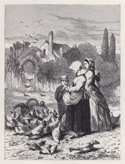 Baromfiudvar (metszet) alkotó: Harrison William Weir
