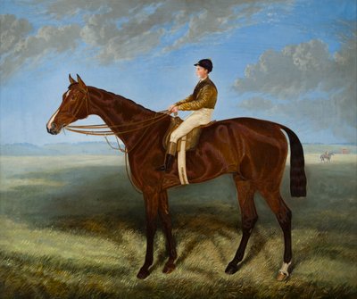 Salpinctes-a Race Horse, 1814-82 körül (olaj, vászon) alkotó: Harry (after) Hall
