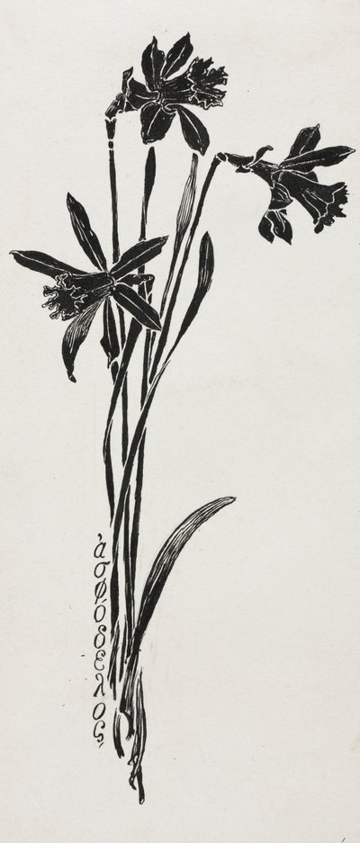 Nárcisz. alkotó: Harry Fenn