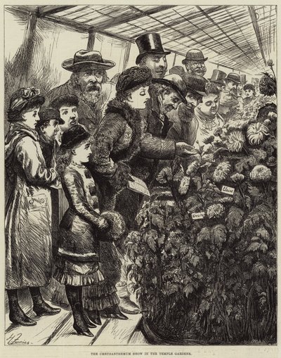 A krizantém bemutató a templomkertben alkotó: Harry Furniss