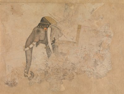 Elefánt és lovas, kb. 1640. alkotó: Hashim.