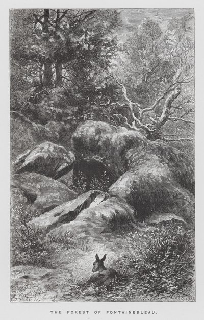 A rovar: Fontainebleau-i erdő (metszet) alkotó: Hector Giacomelli