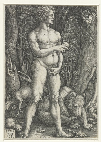 Ádám alkotó: Heinrich Aldegrever