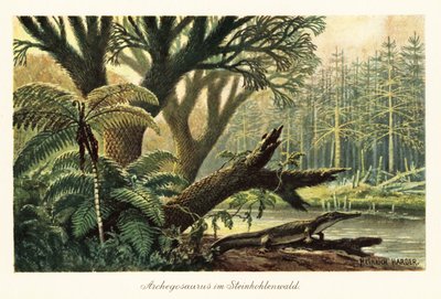 Archegosaurus decheni egy folyó mellett egy ősi dzsungelben. alkotó: Heinrich Harder