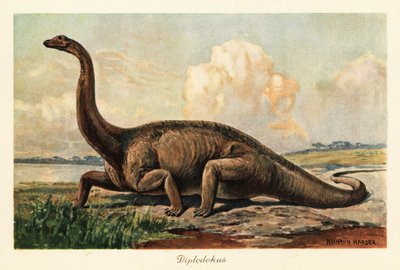 A síkságon kihalt Diplodocus longus. alkotó: Heinrich Harder