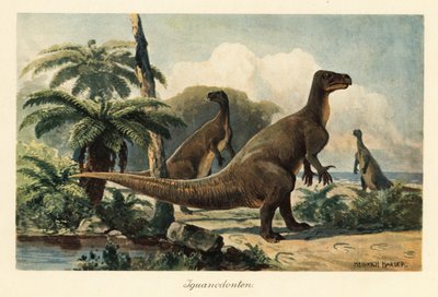 Iguanodon bernissartensis egy őskori páfrányerdőben. alkotó: Heinrich Harder