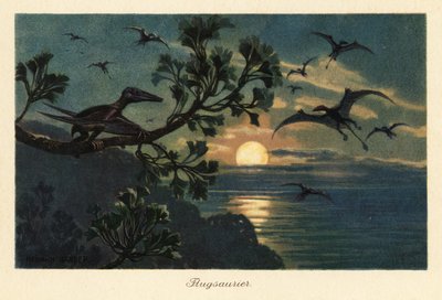 Rhamphorhynchus pterosaurusok repülnek a holdfényben. alkotó: Heinrich Harder